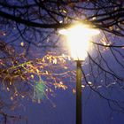 Streetlight