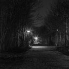 Streetlights II