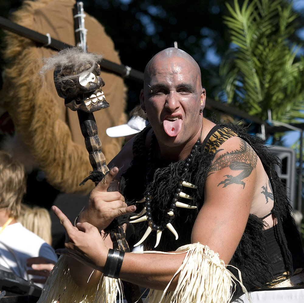 Streetparade 2008/5