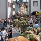 streetparade made in switzerland