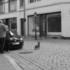 Streetpatrol - Quedlinburg *