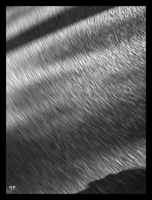 Streetphotography =)