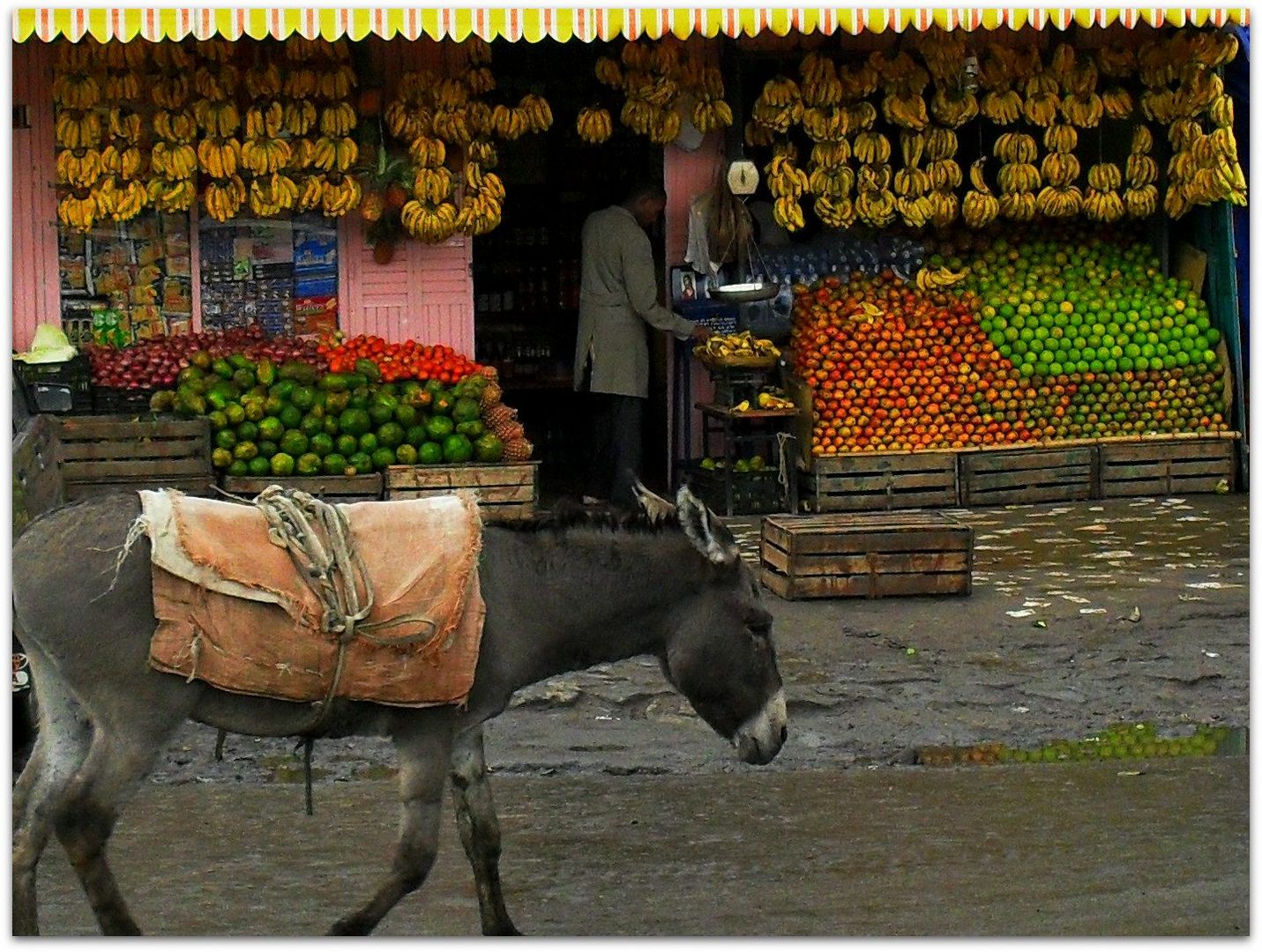 Streets of Addis