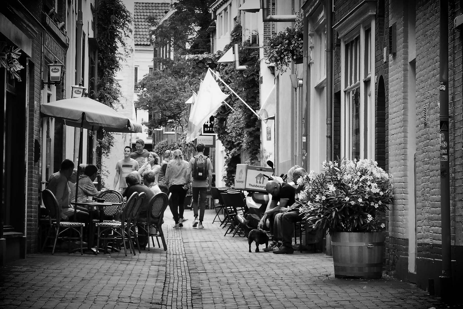 Streets of Arnhem