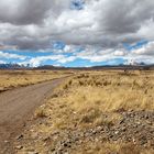 Streets of Bolivia (V)