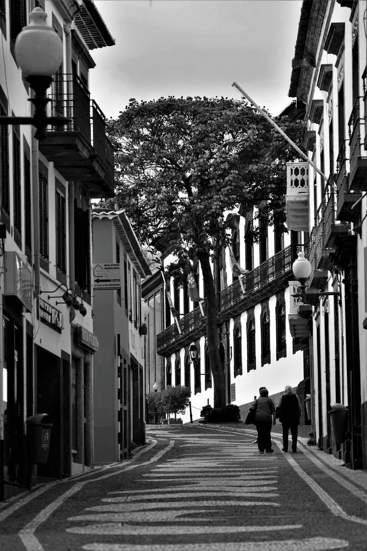 Streets of Funchal 2