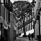 Streets of Funchal 2