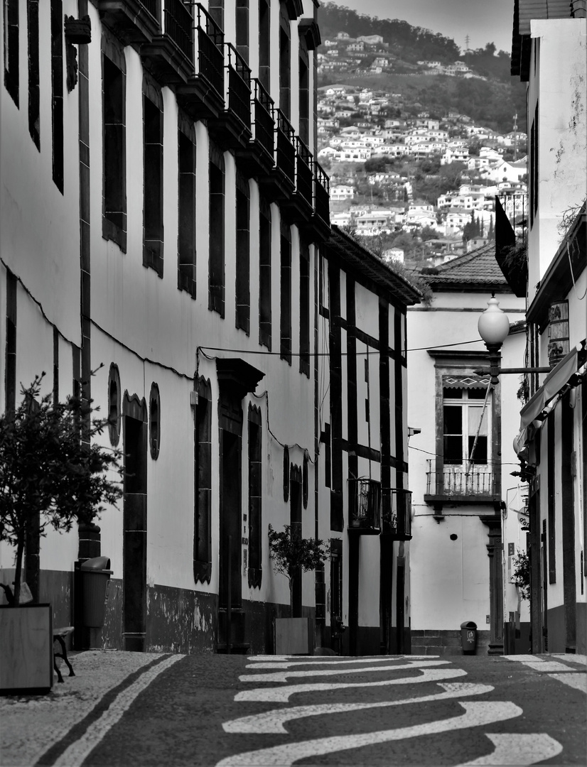 Streets of Funchal 3