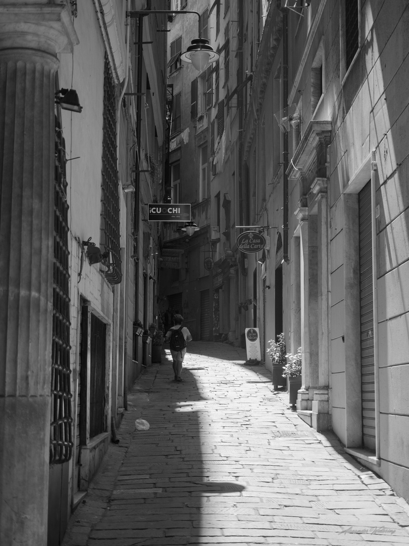 streets of genova 