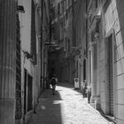 streets of genova 