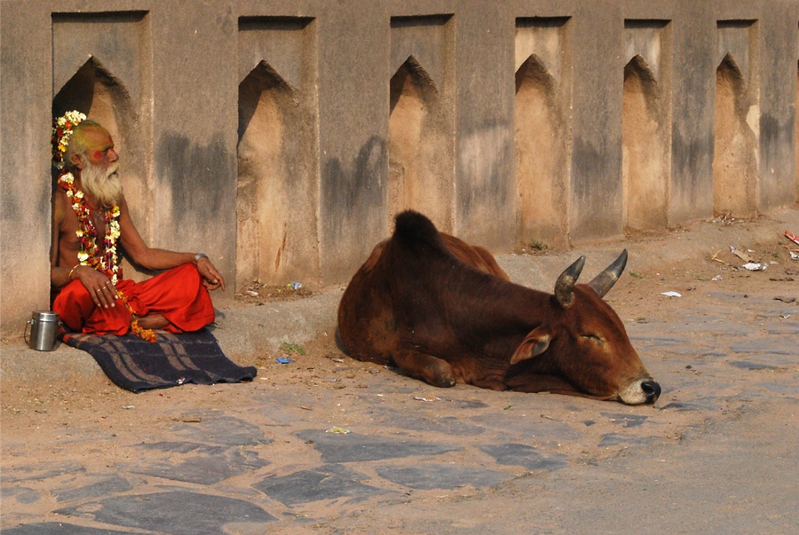 Streets of India 14 - Ganz entspannt im Hier und Jetzt