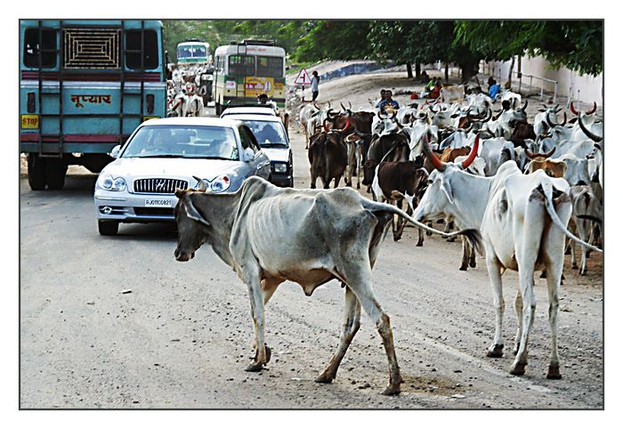 Streets of India