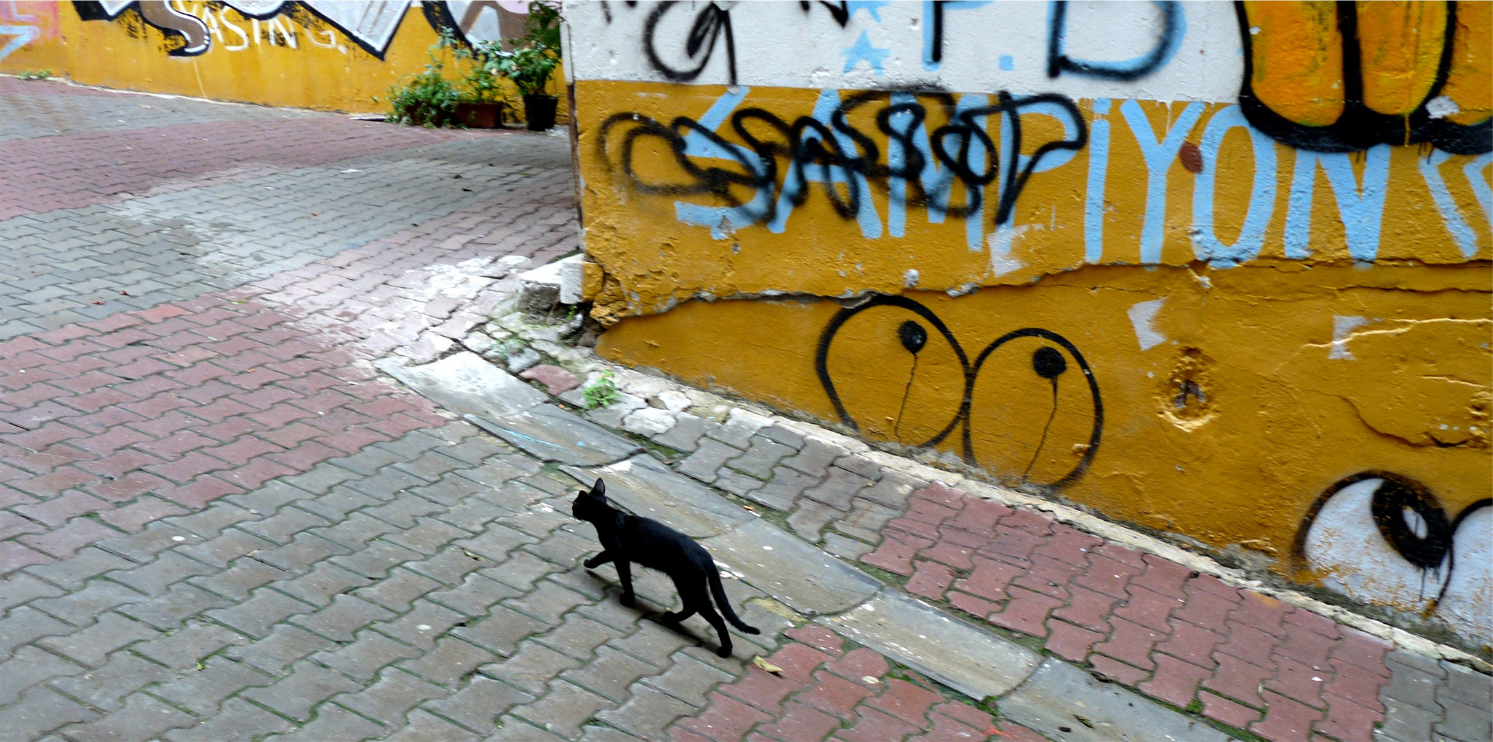 streets of istanbul 1