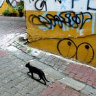 streets of istanbul 1