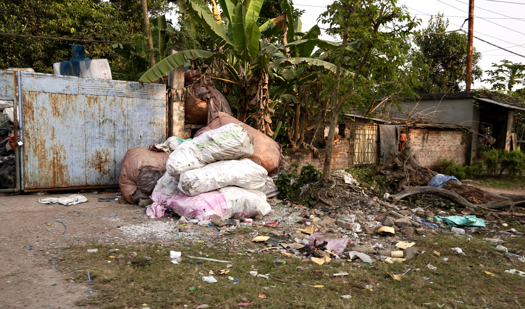 Streets of Kalyani #4