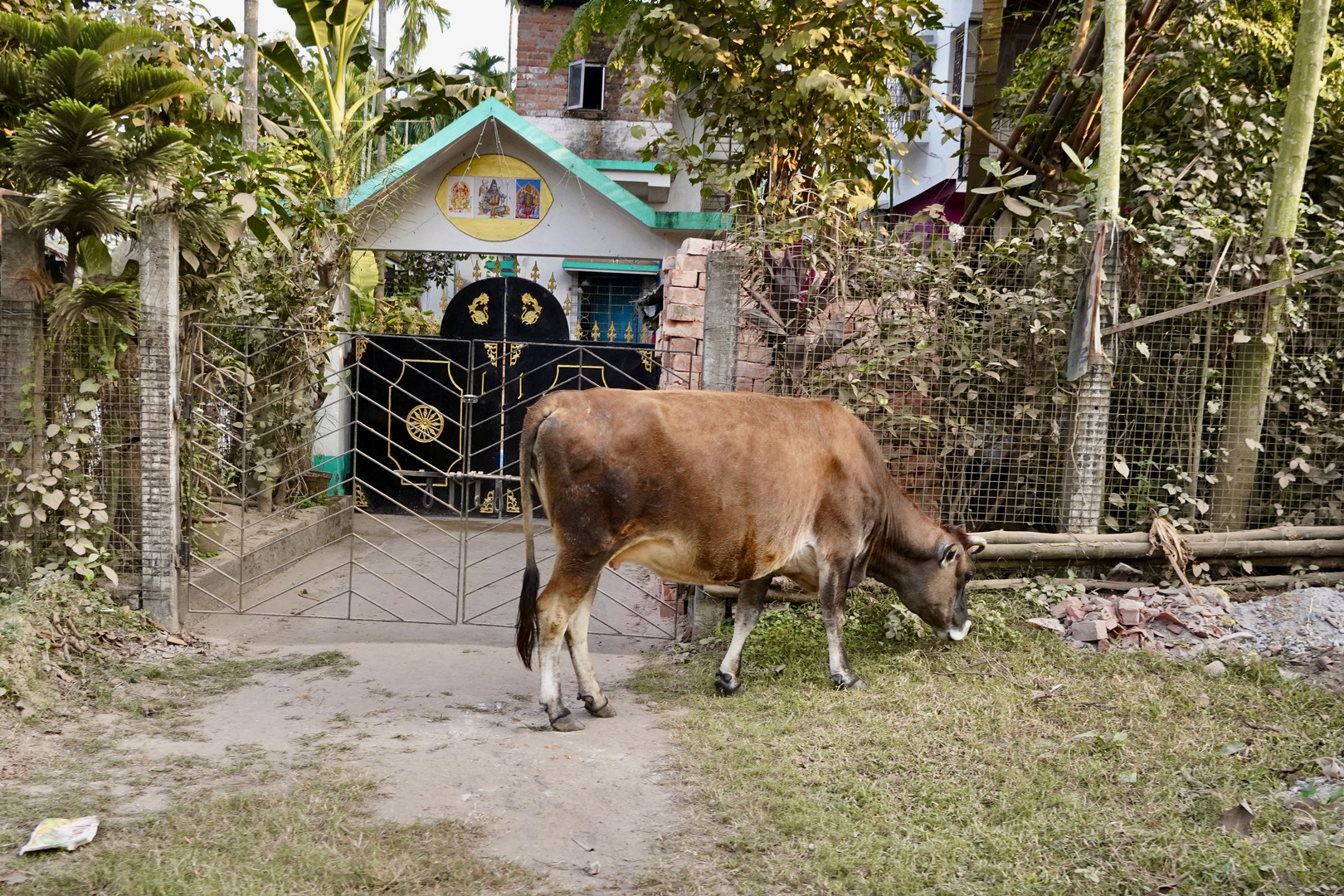 Streets of Kalyani #5