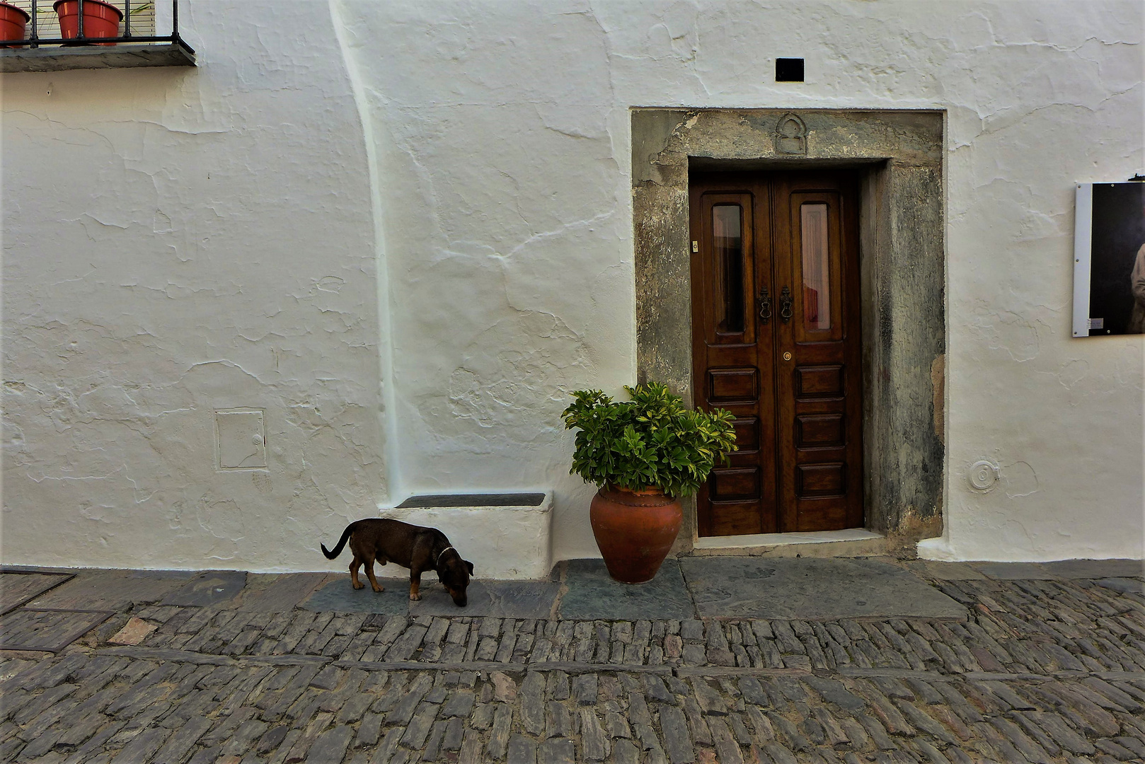 Streets of Monsaraz 10