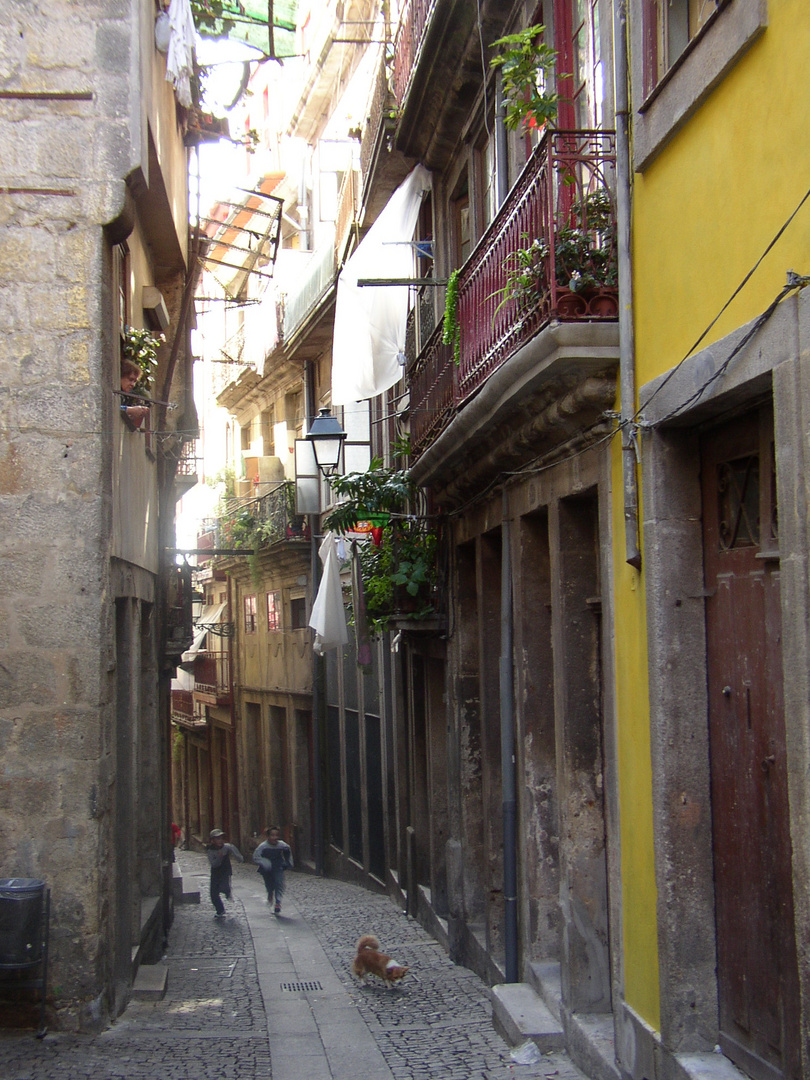 streets of proud porto