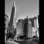 Streets of San Francisco 3