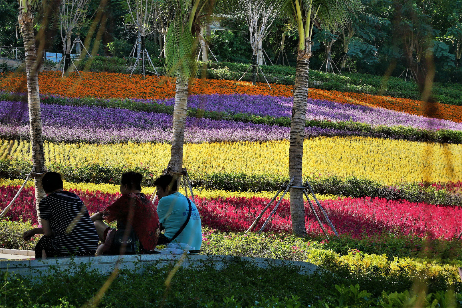 Streets of Sanya