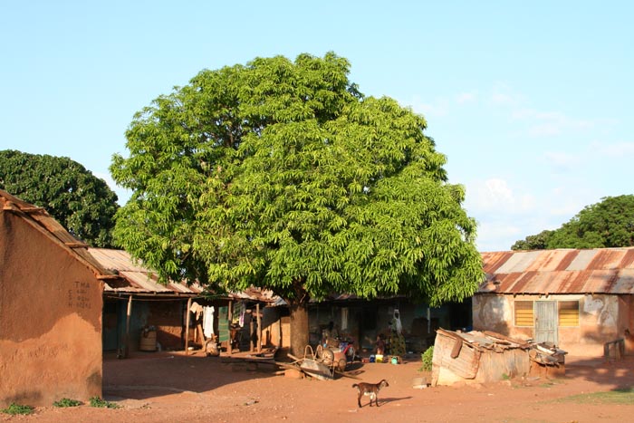 Streetscene in Tamale