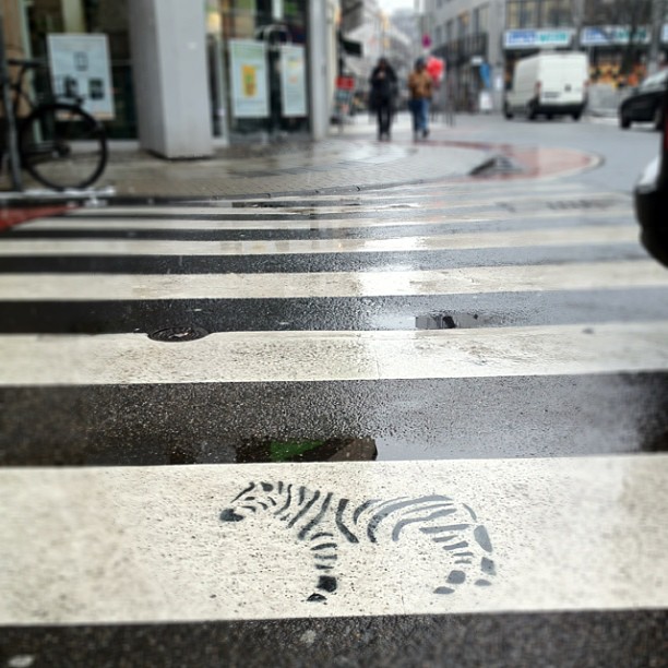 streetzebra