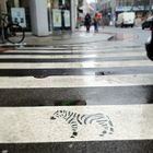 streetzebra