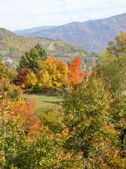 Stregata dall'autunno..