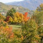 Stregata dall'autunno..