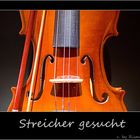 Streicher gesucht