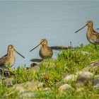 … Streicher-Trio in der Konzertpause …