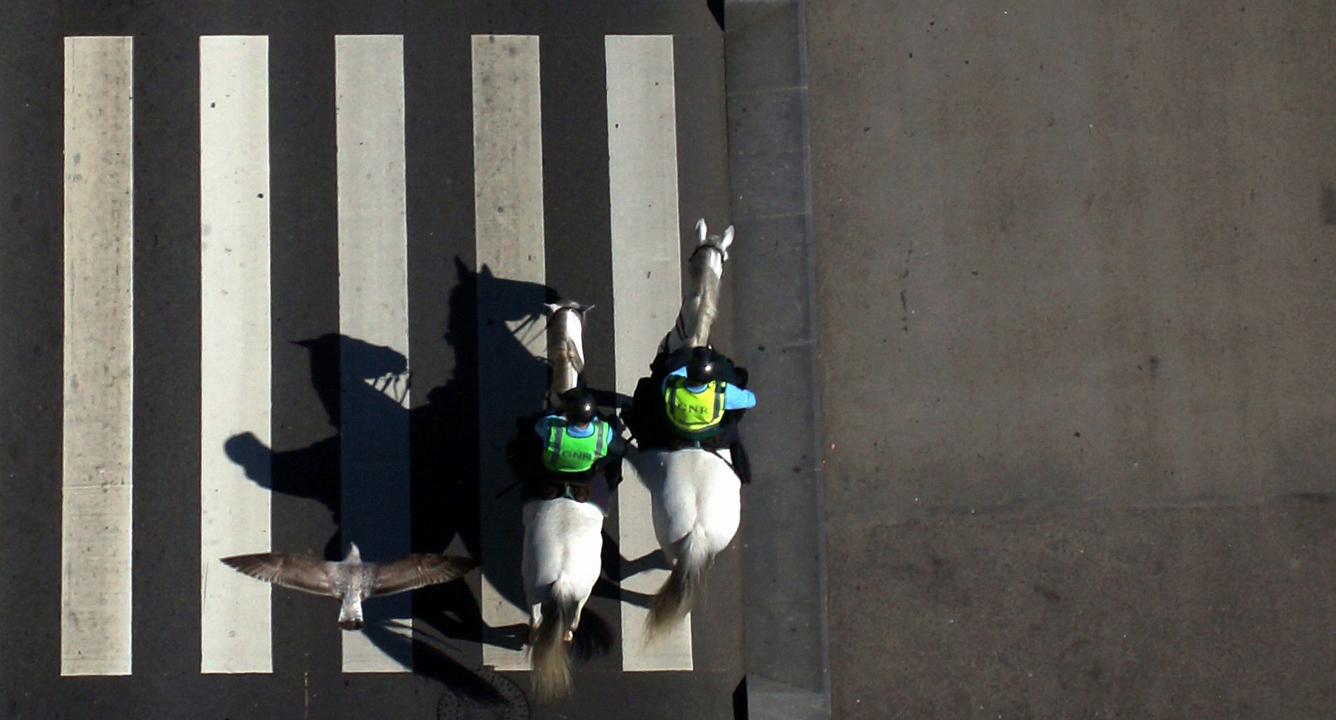 Streife mit Drohne auf Streifen