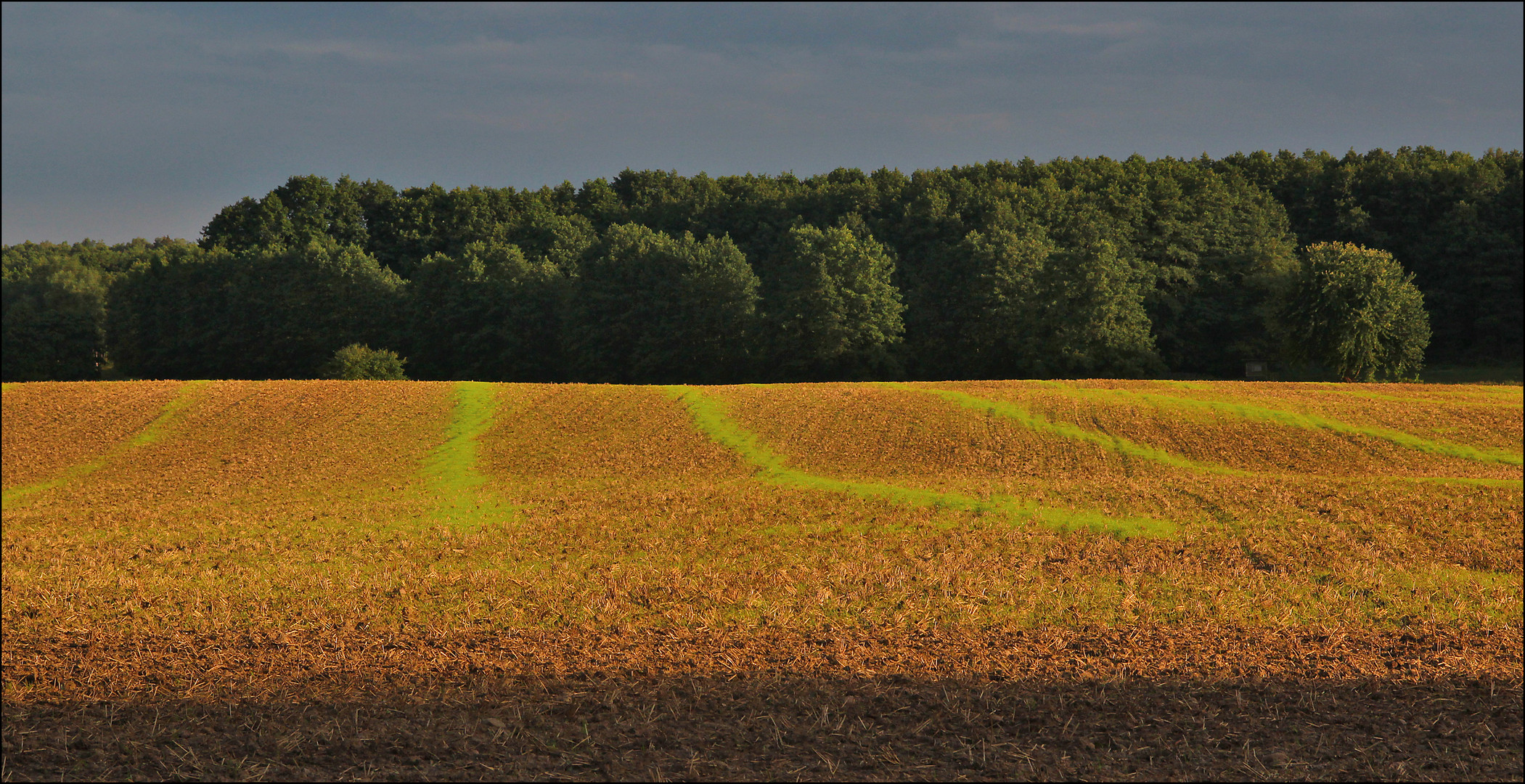 Streifen.