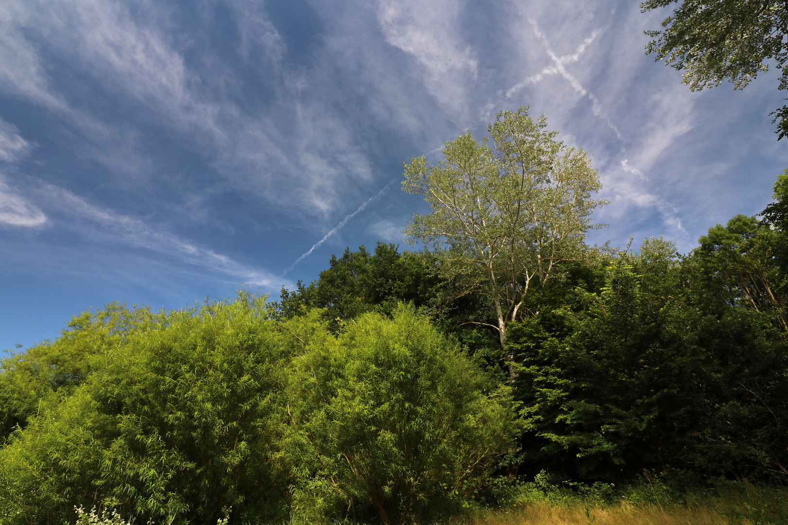 Streifen am Himmel