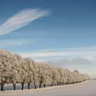 Streifen am Horizont