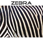 Streifen, Zebra, Streifen