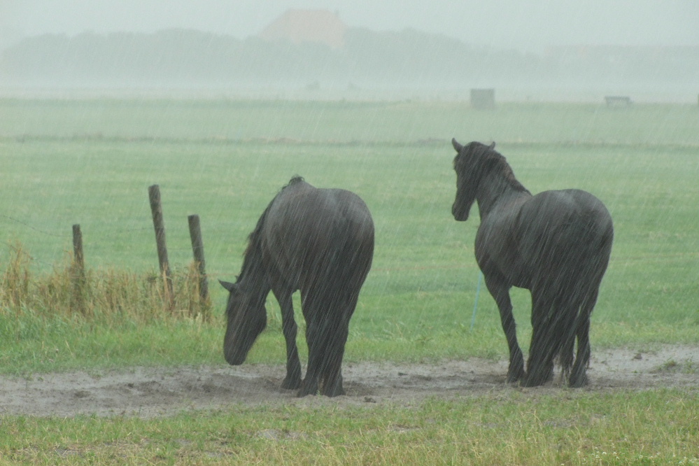 Streifenweise Regen