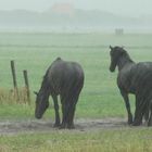 Streifenweise Regen