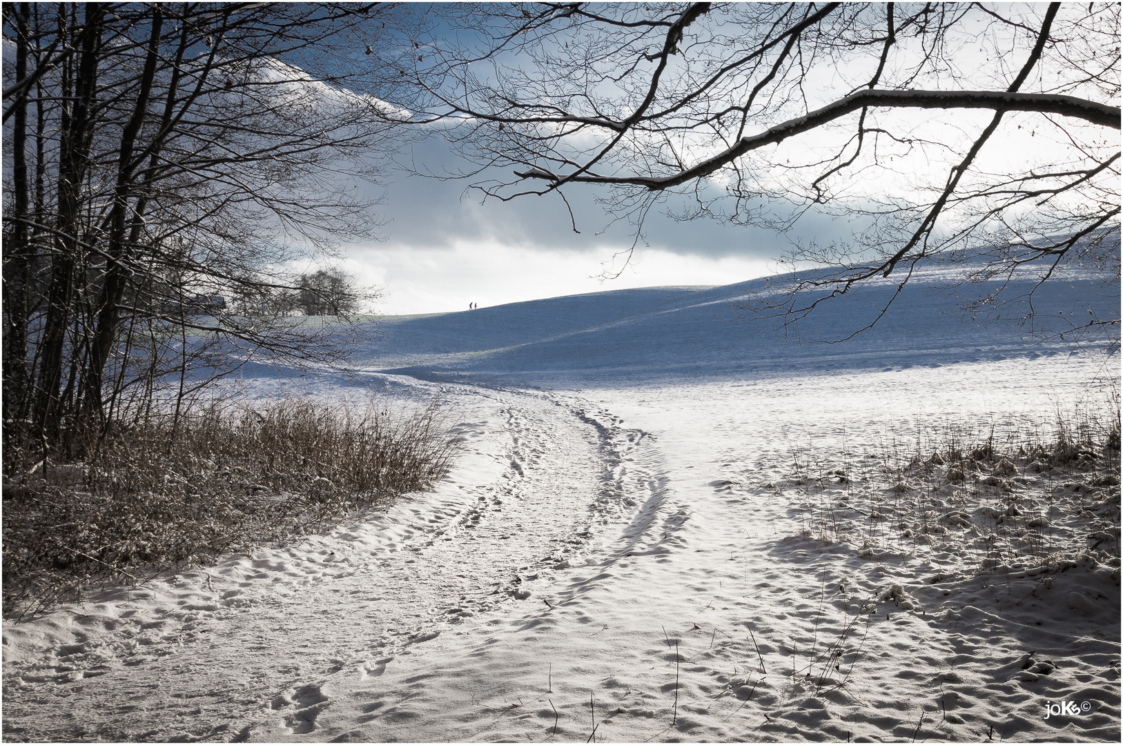 Streiflicht Foto & Bild | jahreszeiten, winter, ebrachtal Bilder auf fotocommunity