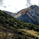 Streiflicht am Col d'Allos