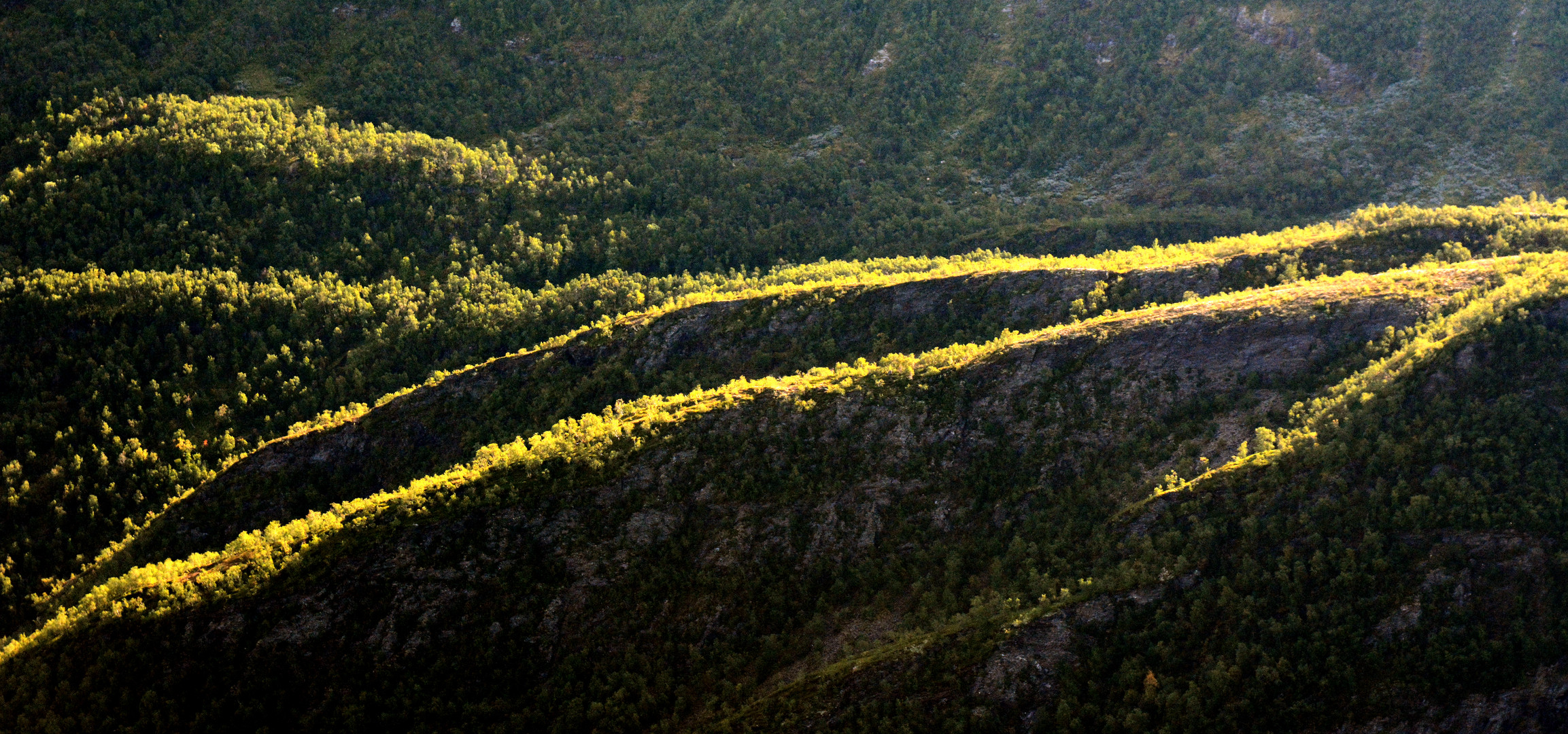 Streiflicht am Fjord!