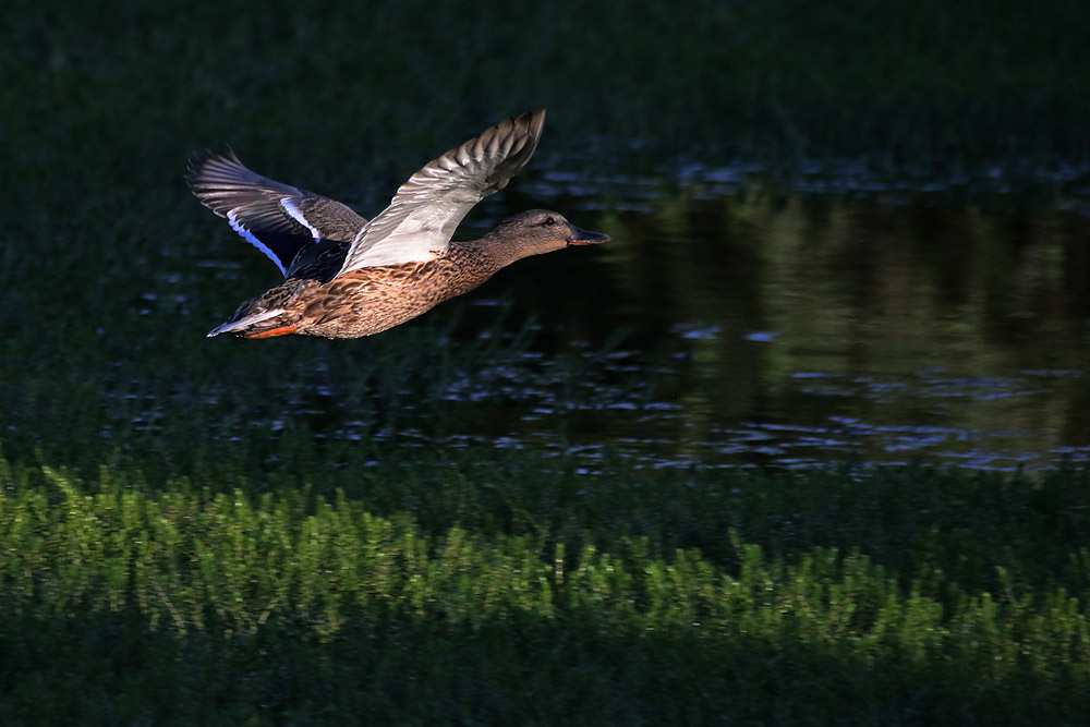 Streiflicht beim Abflug