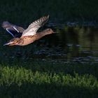 Streiflicht beim Abflug