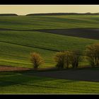 Streiflicht - Spaziergang