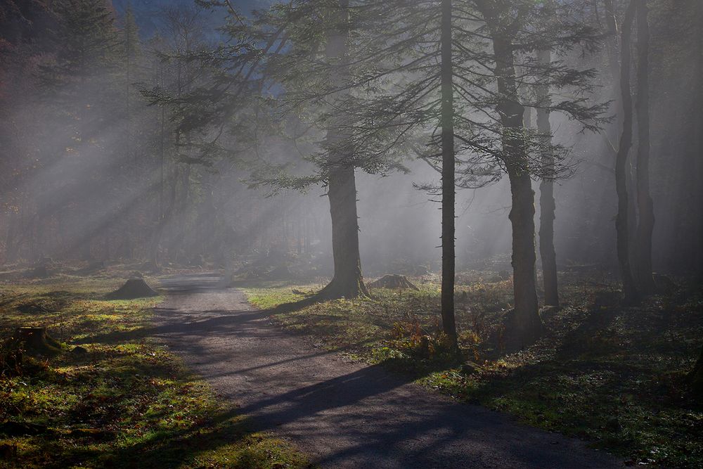 Streiflichter Foto & Bild | natur Bilder auf fotocommunity