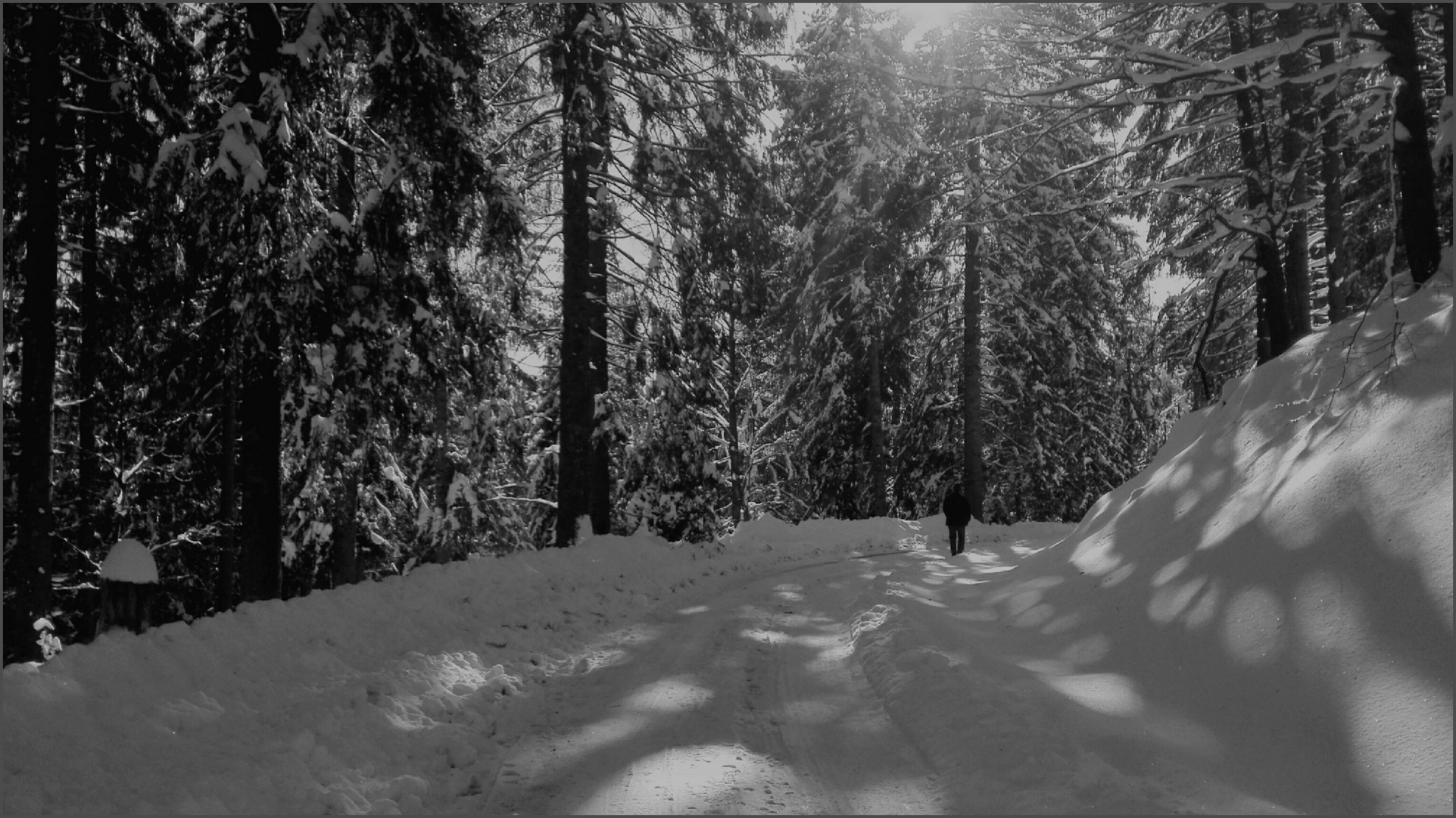 Streift die Stille durch die Wälder