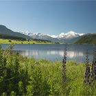 Streifzüge im oberen Vinschgau IV