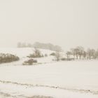 Streifzüge im Schnee (3)