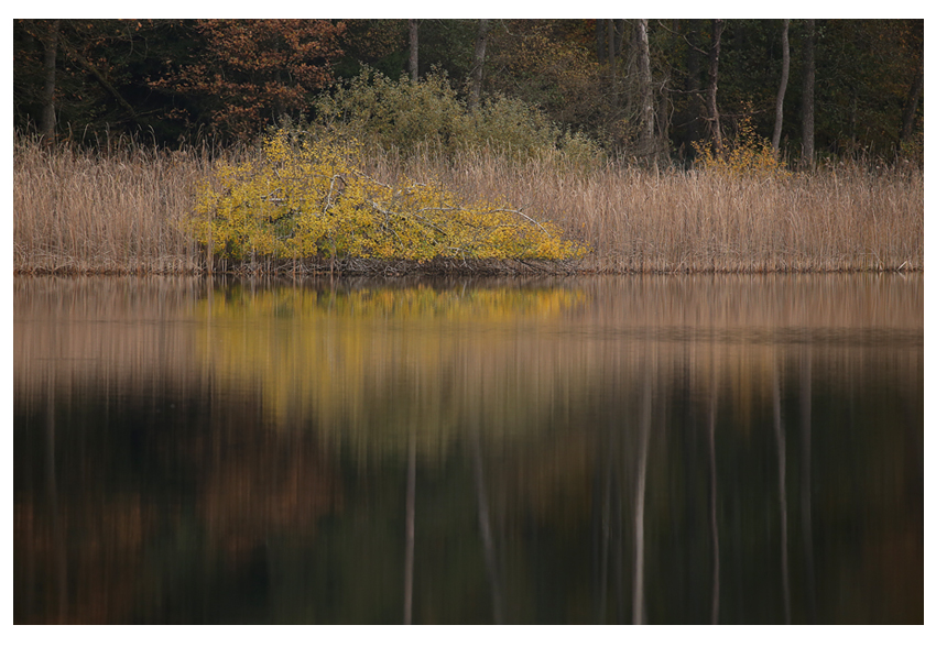 streifzüge november V