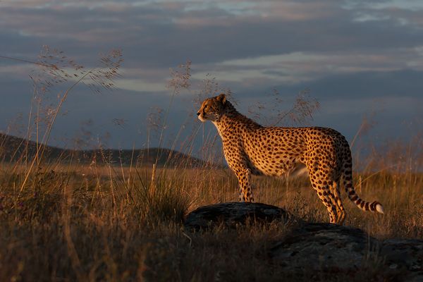 ...Streifzug durch das Gelände...